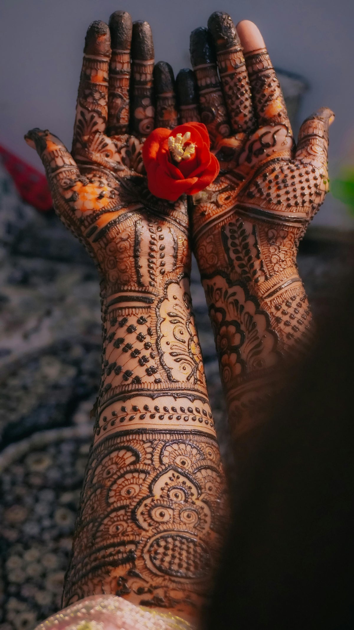Full Hands - Organic without Figure